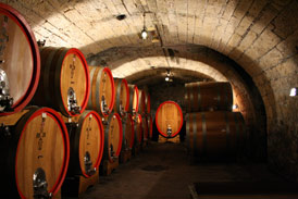 cellar tour